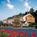 TownePlace Suites by Marriott Homewood::ProfessionalTravelGuide.com