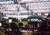 Nickelodeon Universe::ThrillNetwork.com