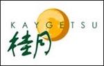 Kaygetsu::CitySearch