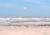 Best Western On The Island::Orbitz