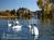 Johnson Mill Bed & Breakfast::BedAndBreakfast.com