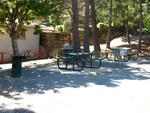 San Carlos Avenue Neighborhood Park