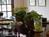 Hoffman Haus::BedAndBreakfast.com