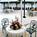 Marriott Park Ridge::Orbitz
