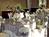 Holiday Inn Hotel & Suites Indian Rks Beach/Clearwater Area::Orbitz