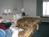Ocean Pacific Lodge::TripAdvisor