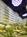 Embassy Suites Boca Raton::Hotels.com