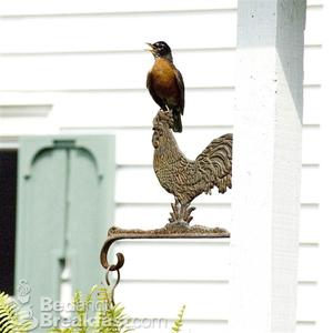 The House on Water Street::BedAndBreakfast.com