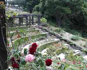 BERKELEY ROSE GARDEN::KaBoom.org