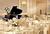 Sheraton Colonial Hotel and Golf Club Boston::Expedia