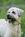 The Woodstocker Bed & Breakfast::BedAndBreakfast.com