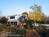 Chimney Hill Farm Estate & Ol' Barn Inn::BedAndBreakfast.com