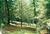 COZY TREETOP COTTAGE LOCATED 5 MILES FROM CASHIERS & HIGHLANDS! from PetFriendly.com