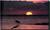 Super 8 Motel - Melbourne::Orbitz