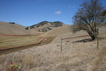 Tn-brushy_peak