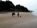 Oregon Coast::Visittheoregoncoast