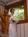 Innisfree Bed & Breakfast::BedAndBreakfast.com