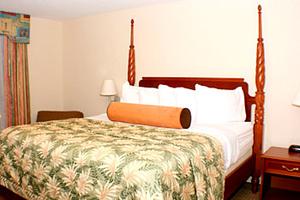 Web-pan_esde-rooms-3