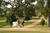 Berry Hill Plantation Resort::ProfessionalTravelGuide.com