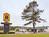Super 8 Motel Rocky Mount I 95 from ProfessionalTravelGuide.com