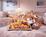 Little Inn by Bay - Newport Beach from Expedia