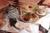 Loganberry Inn::BedAndBreakfast.com
