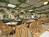Ramada Plaza Beach Resort::Orbitz