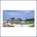 Tn-delamrbeach2_th
