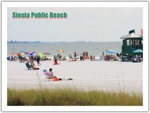 Web-spbeach
