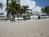Driftwood On The Ocean::TripAdvisor