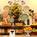 Fairfield Inn and Suites by Marriott Boca Raton::Orbitz