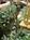 Embassy Suites Hotel Portland-Airport::TripAdvisor