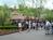 Dollywood::ThrillNetwork.com