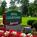 Courtyard by Marriott Basking Ridge::Expedia