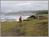 Shell Beach::Russianrivertravel