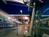 Best Western Plaza by the Green from Orbitz