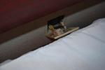 Comfort Inn Executive Park