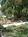 Gardiner Guest House::BedAndBreakfast.com