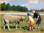 Remick Country Doctor Museum & Farm