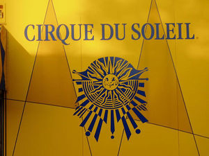 Cirque du Soleil - La Nouba::43places.com