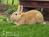Farmhouse Bed & Breakfast::BedAndBreakfast.com