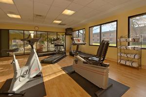 Web-msn_hime-fitns-1