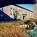Comfort Inn at Thousand Hills::Expedia