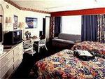 Tn-miaia_b32