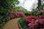 Monmouth Plantation from Priceline.com