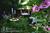 The Garden Cottage Bed & Breakfast::BedAndBreakfast.com