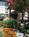 Super 8 Motel - Gilroy::Orbitz