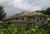 Wailuku Guesthouse from Yahoo! Travel