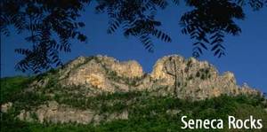 Web-senecarocks