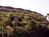 Best Western Encinitas Inn & Suites at Moonlight Beach from Yahoo! Travel